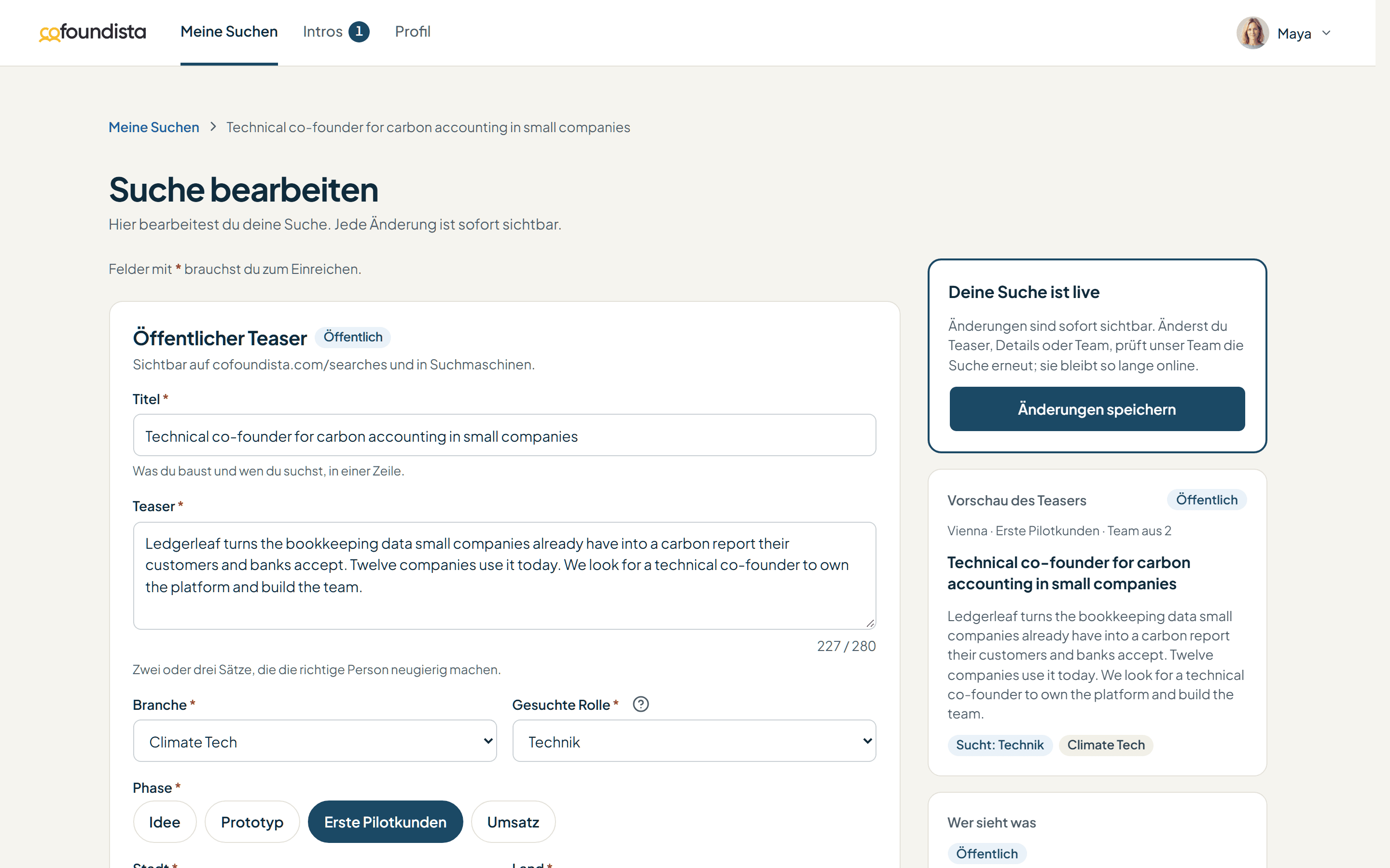 Das Suchformular mit dem öffentlichen Teaser und seiner Vorschau